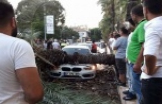 Sosyal medyadan 'devrilecek' diye uyardığı...