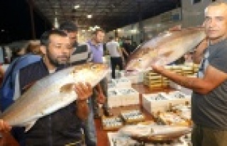 Akdenizli balıkçılar sezonu davul zurnayla açtı