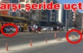 Alanya'da şok kaza! Köpek feci şekilde can...