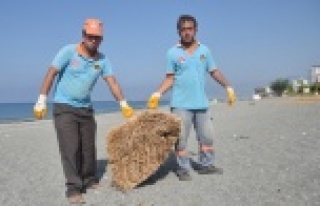 Alanya’da sahiller temizleniyor