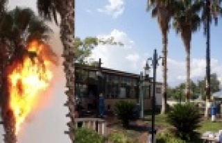 Hastane bahçesine yıldırım düştü