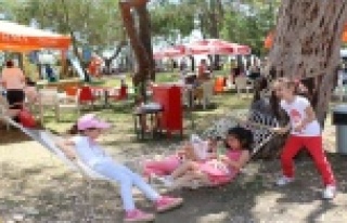 Kadınlar Plajı 350 bin kişiyi ağırladı