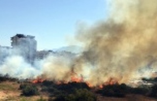 Mahallesnin ortasında korkutan yangın