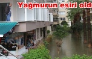 Alanya'da hortum ve yağmur hayatı felç etti