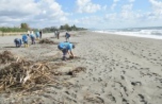 Alanya'da sahiller temizleniyor