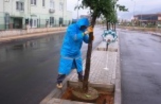 Alanya'nın yeni hastanesi 'turunç'...