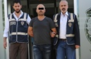 Antalya'da 'papağan' şebekesi çökertildi