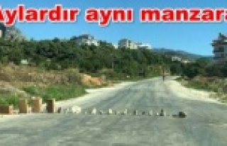 Bir kadının bu eylemine çare bulunamıyor