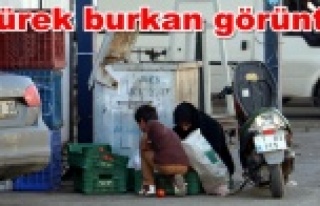 Çöp konteynerinden pazar alışverişi