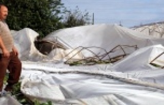 Hortum seraları hasat zamanında vurdu