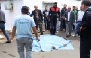 İşe giden amca 1,5 yaşındaki öz yeğenini kamyonla...