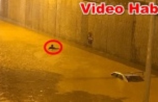 İşte alt geçitte yaşanan can pazarı