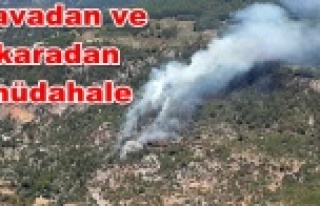 Panik! Alanya'da orman yangını