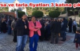 Alanya'da kamulaştırma pazarlığı