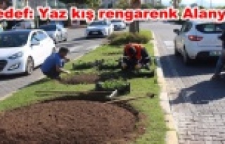 Alanya'da kış seferberliği