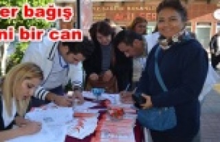 Alanya'dan organ başığına tam destek