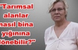 Alanya'nın imar planına yeşil alan tepkisi