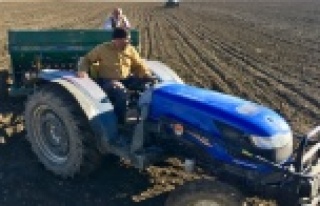 Antalya buğdayını arıyor projesi