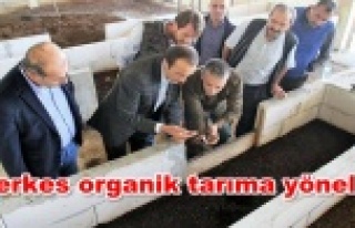 Çiftçinin yeni gözdesi: Solucan gübresi