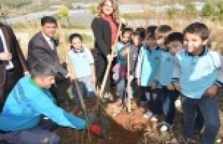 Emişbeleni zeytin fidanları ile buluştu
