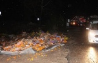 Narenciye yüklü kamyon devrildi, sürücüsü öldü