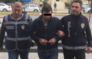 Sadaka kutusu ve zeytinyağı hırsızları tutuklandı