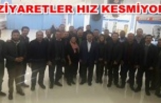 Tuna ve komite üyeleri harıl harıl