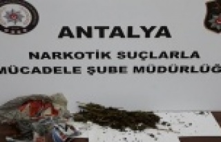 Uyuşturucu operasyonları: 6 kişi gözaltında