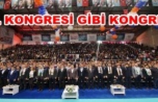 Alanya AKP'de 3. Mustafa dönemi