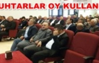 Alanya SYDV seçimleri yapıldı