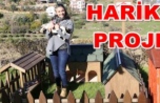 ALKÜ'den 'Pati Çatısı' projesi