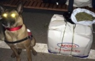 'Çıtır' affetmedi