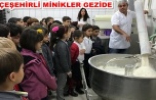 Ekmek ve zeytinyağının yapılışına şahit oldular