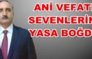Genç yaşta kansere yenik düştü