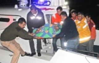 Issız koyda akşam gezmesi hastanede bitti