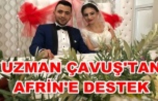 Alanya'da nikah masasını gül yerine zeytin...