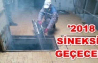 Alanya'da sinekle mücadele hız kesmiyor