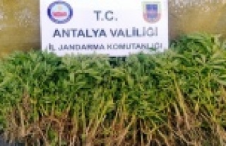 Alanya'da uyuşturucu operasyonu