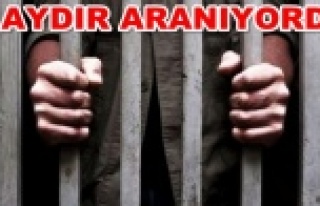Alanya'daki cezaevi firarileri yakalandı