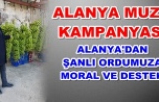 Alanya'dan Afrin'e muz gönderecekler