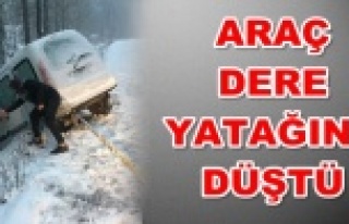 Alanya yaylasında can pazarı!