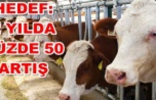 Alanyalı firma her geçen gün büyüyor!