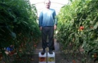 Antalyalı çiftçiden kaşiflere taş çıkartacak...