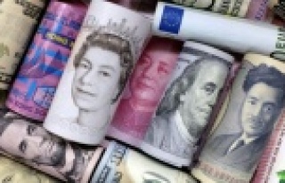 Döviz geliri olmayanın döviz kredisi kullanımına...