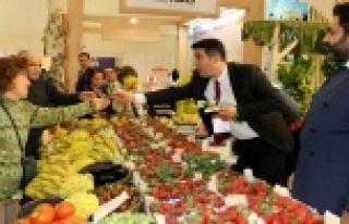 Emitt 2018'in gözdesi Gazipaşa oldu