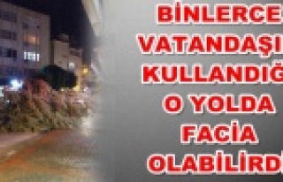 Fırtına Alanya'da ağacı kökünden söktü