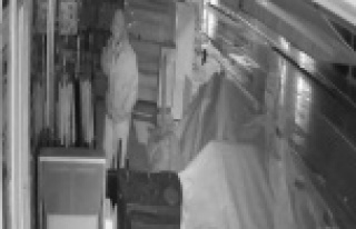 Onlarca eşyayı sokakta gören hırsız, neyi çalacağını...