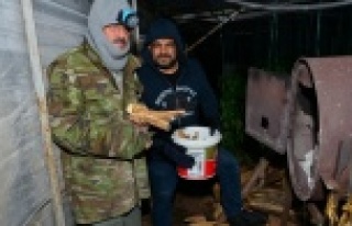 Seralarda don nöbeti