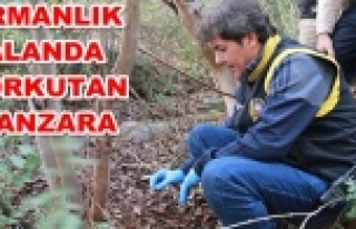 Alanya'da dehşet! Kemikleri bulundu