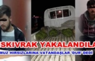 Alanya'daki muz hırsızları yakalandı